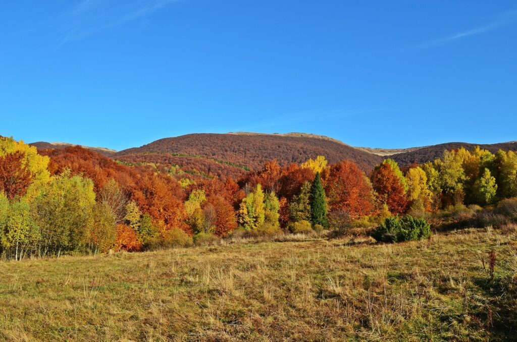 Bieszczady mountains