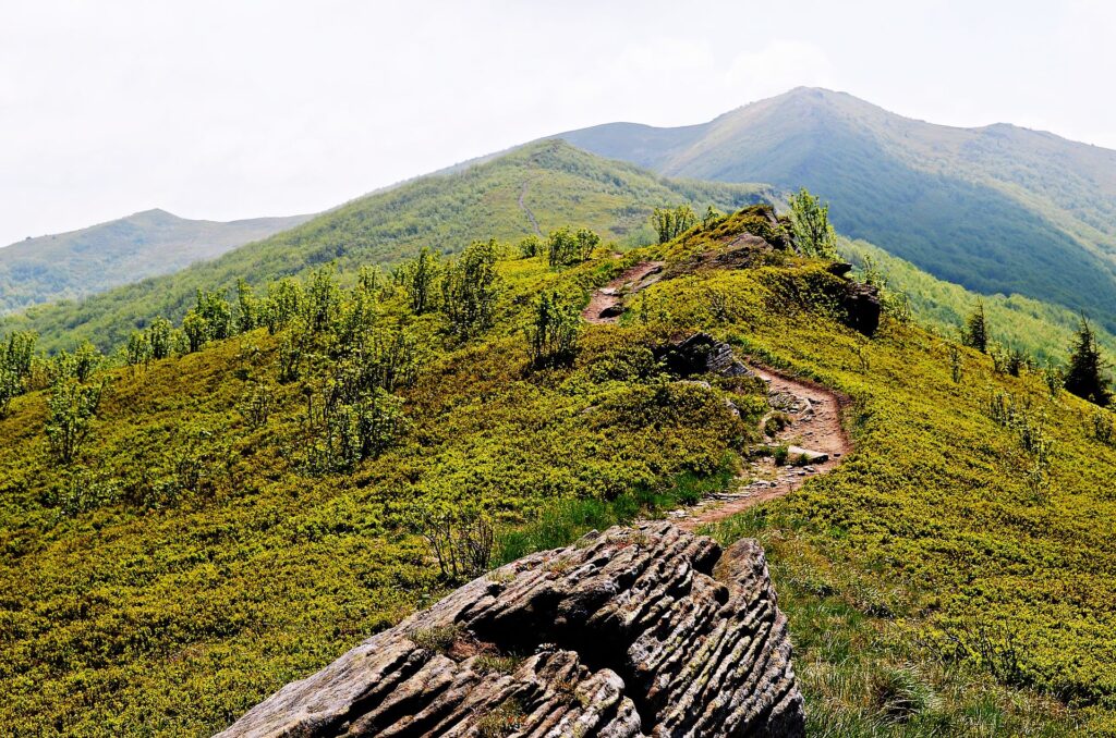 Bieszczady Mountains